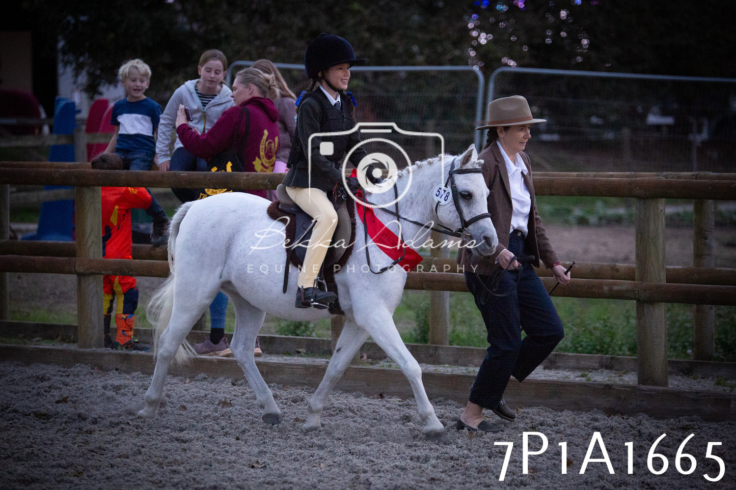 JHOYS 2025 - Showing - 27th September - Working Hunter