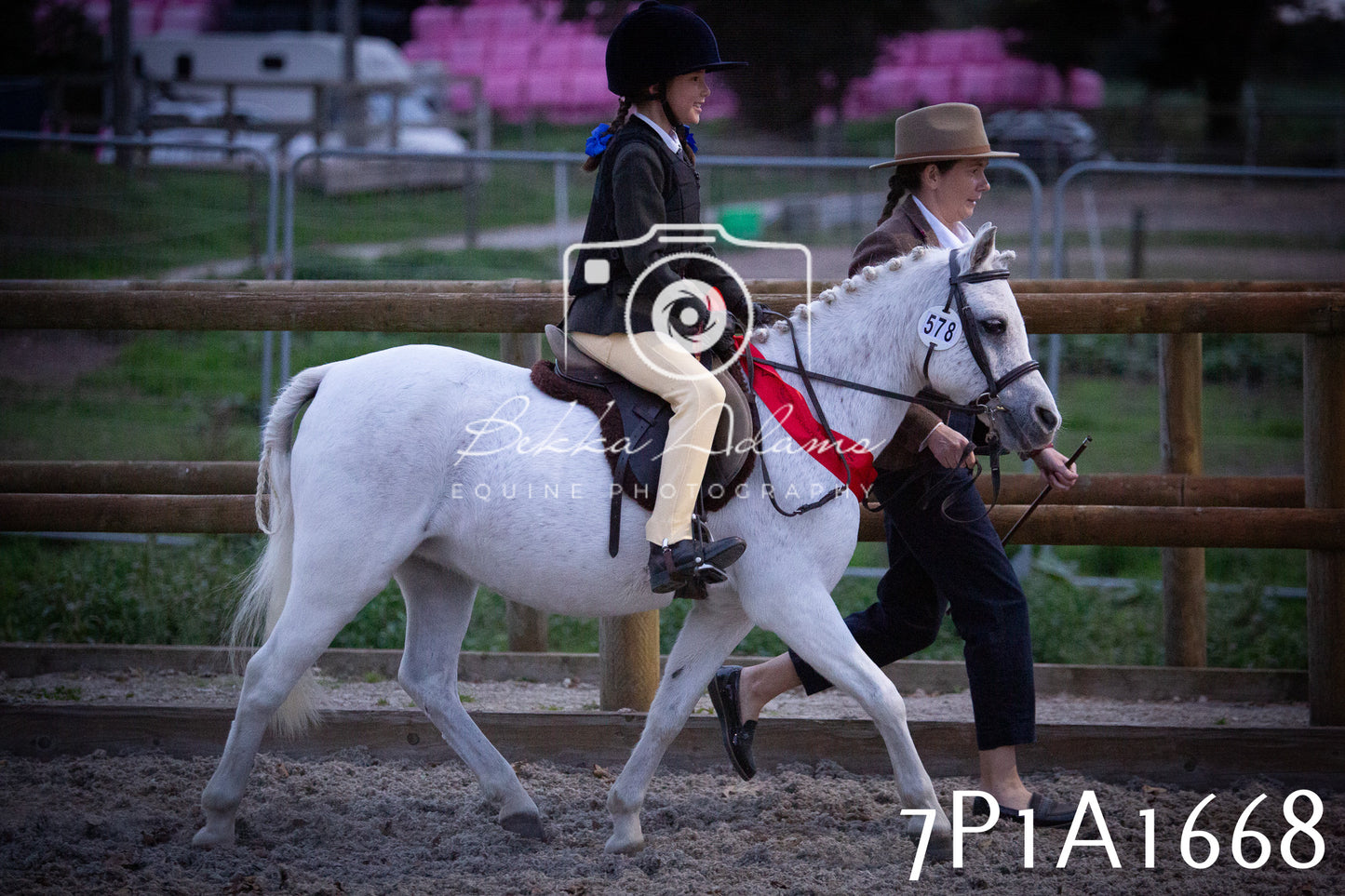 JHOYS 2025 - Showing - 27th September - Working Hunter