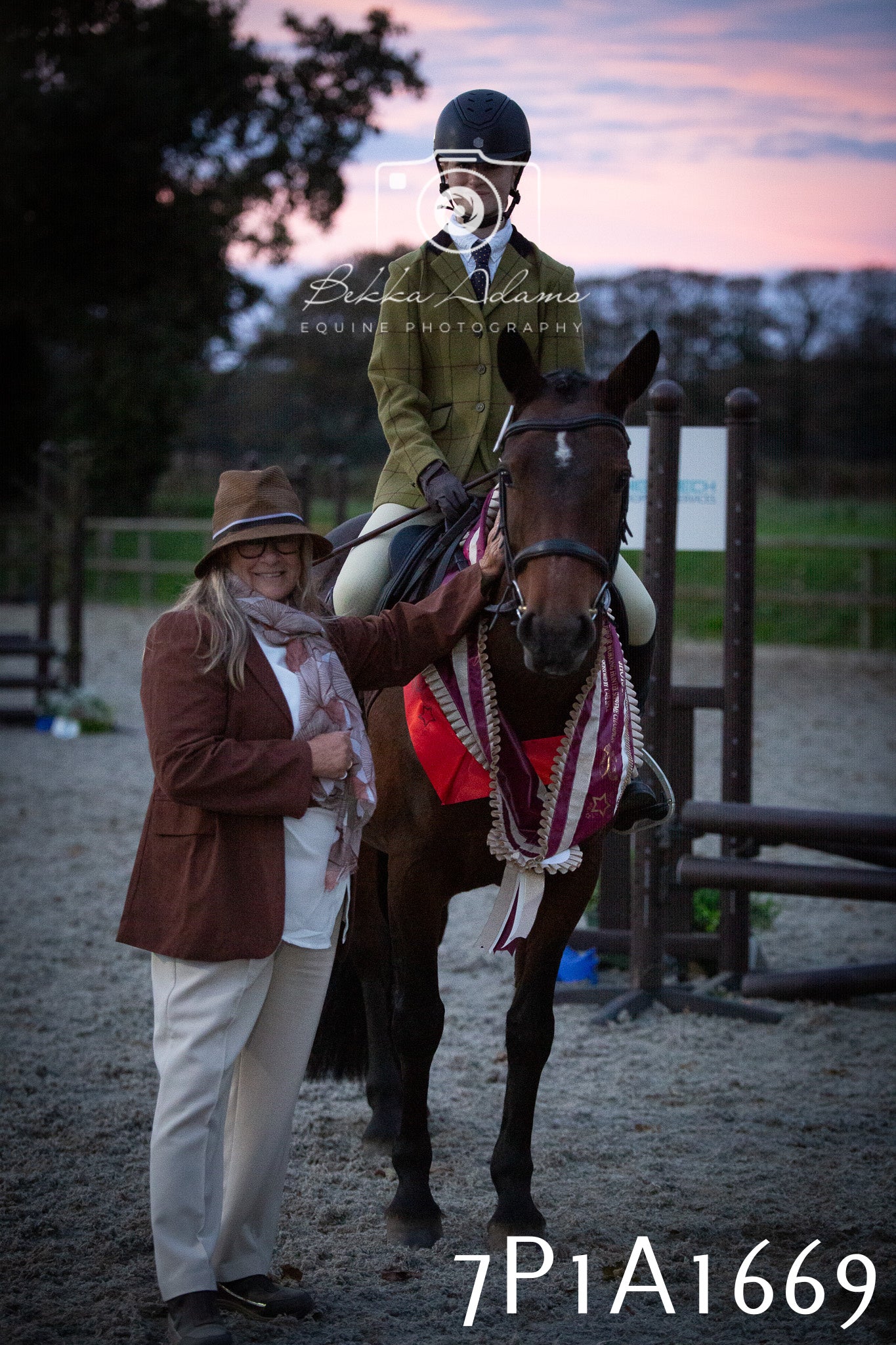 JHOYS 2025 - Showing - 27th September - Working Hunter