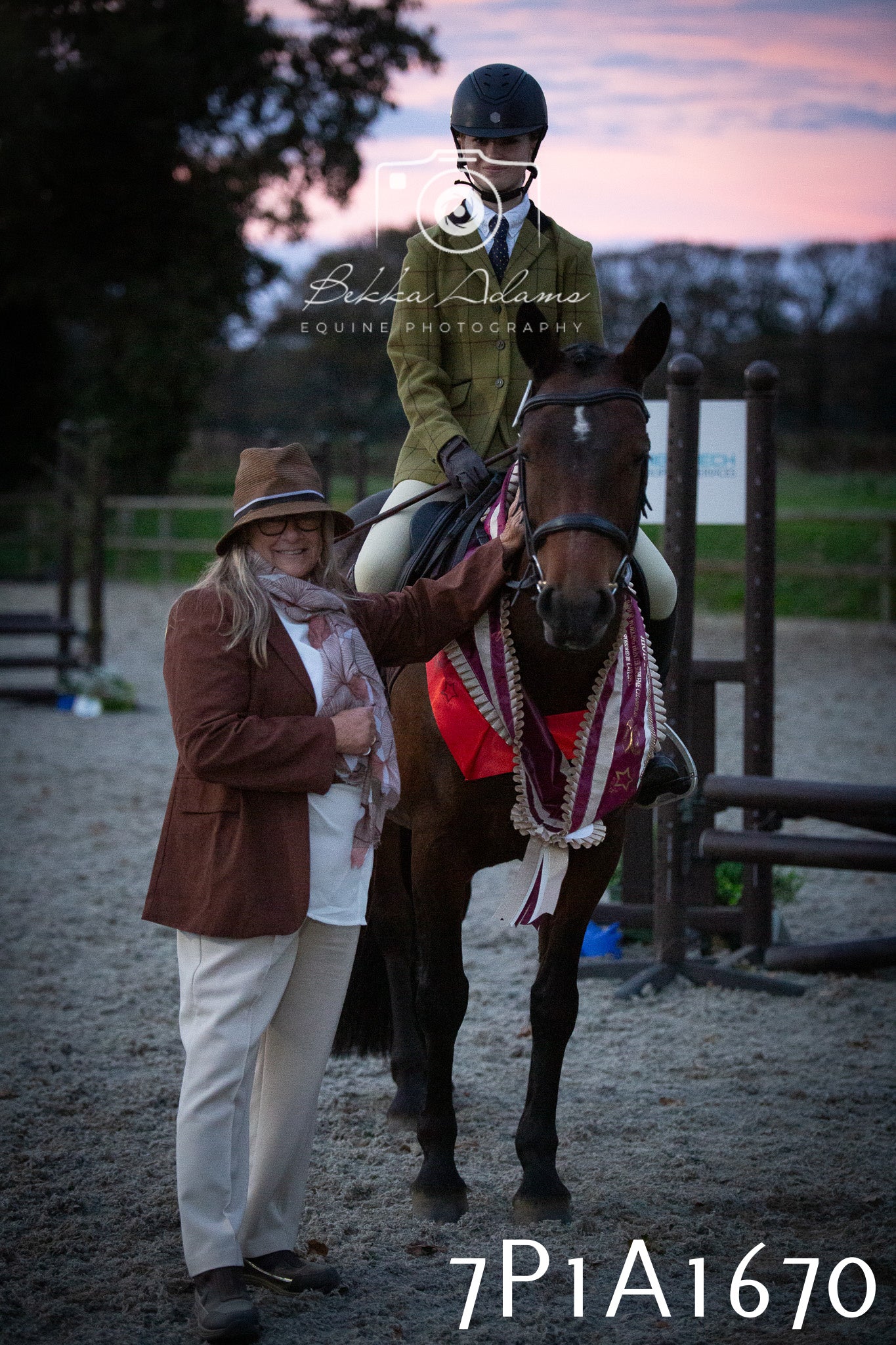 JHOYS 2025 - Showing - 27th September - Working Hunter