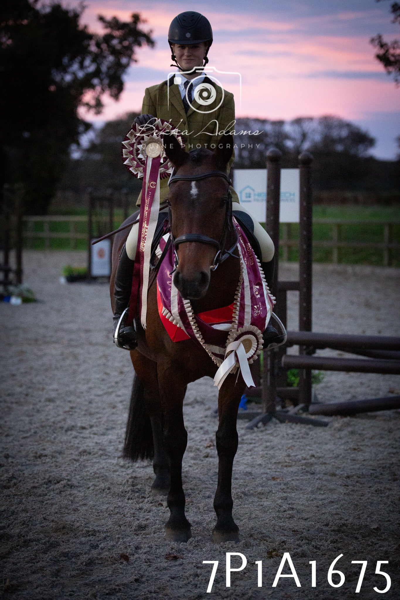 JHOYS 2025 - Showing - 27th September - Working Hunter