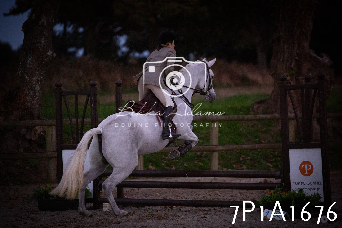 JHOYS 2025 - Showing - 27th September - Working Hunter