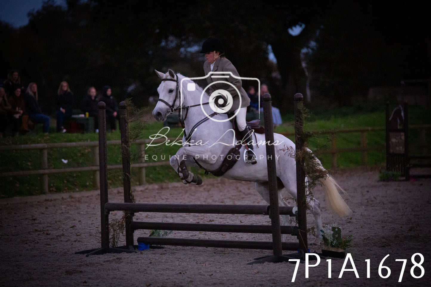 JHOYS 2025 - Showing - 27th September - Working Hunter