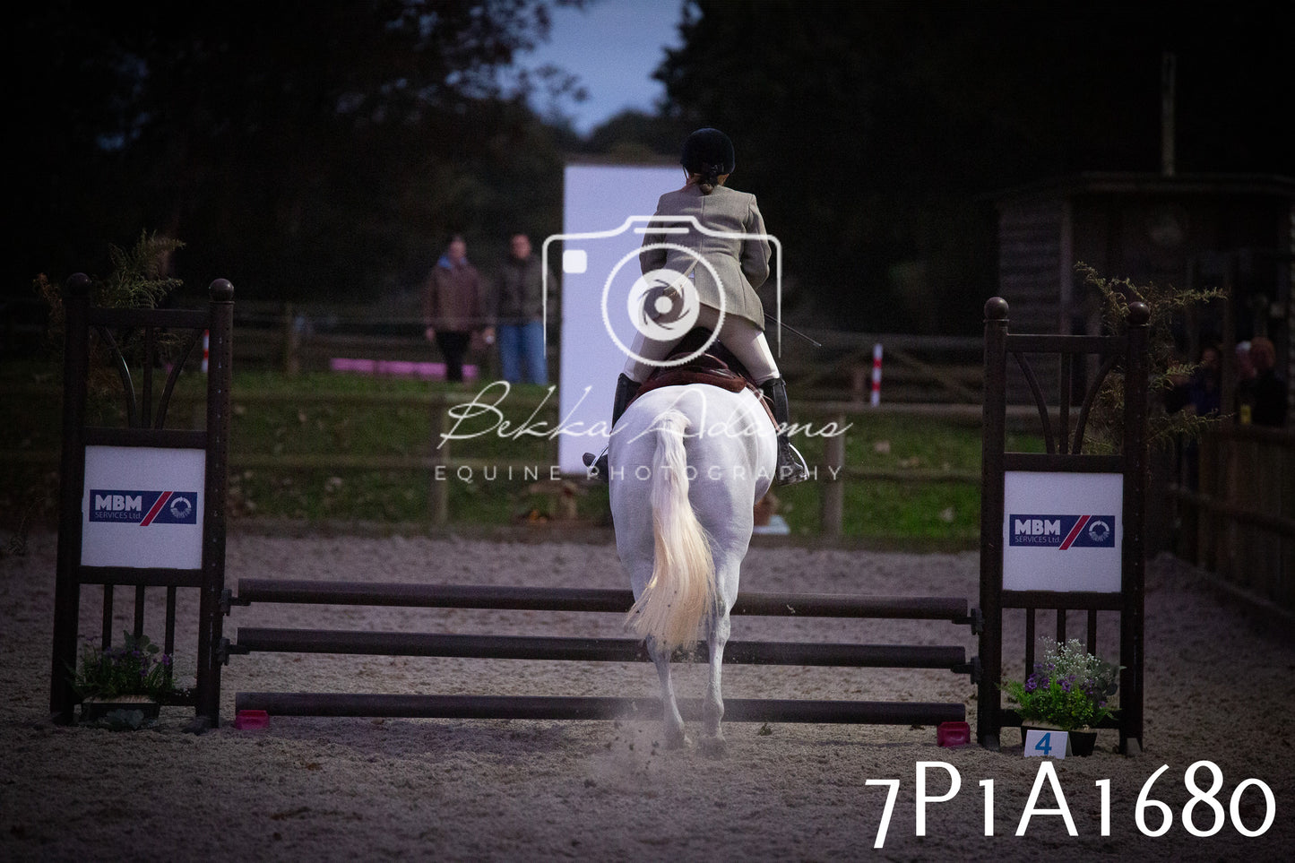 JHOYS 2025 - Showing - 27th September - Working Hunter