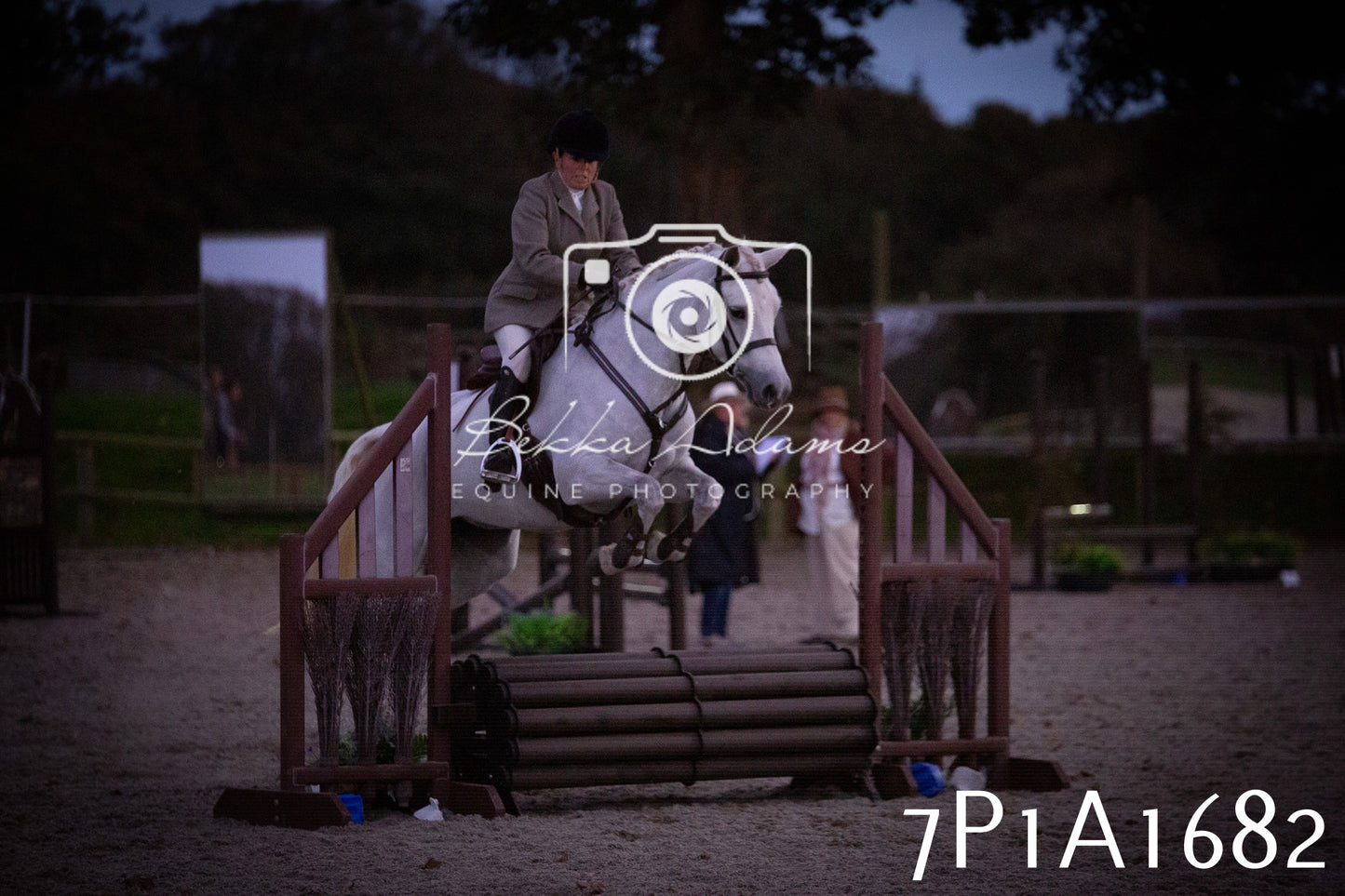 JHOYS 2025 - Showing - 27th September - Working Hunter