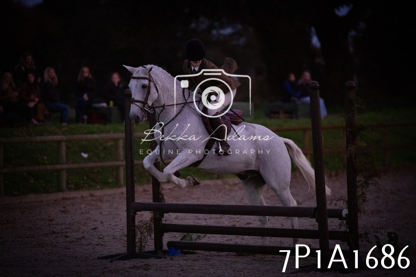 JHOYS 2025 - Showing - 27th September - Working Hunter