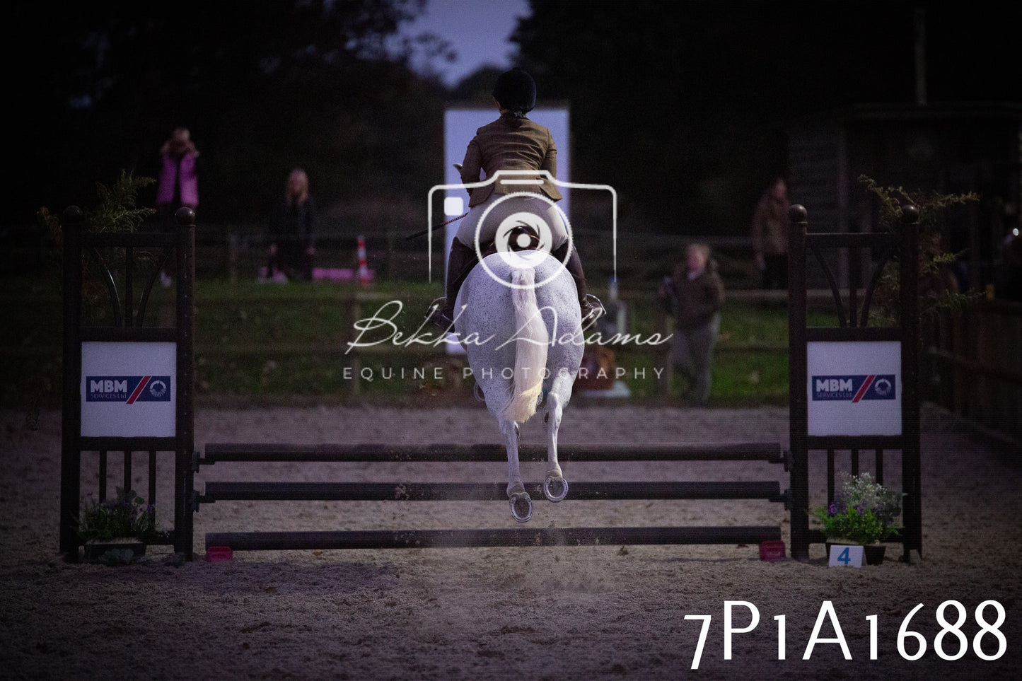 JHOYS 2025 - Showing - 27th September - Working Hunter