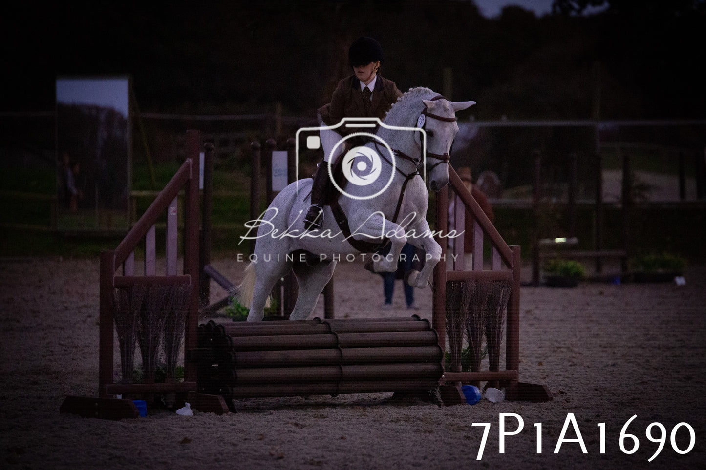 JHOYS 2025 - Showing - 27th September - Working Hunter