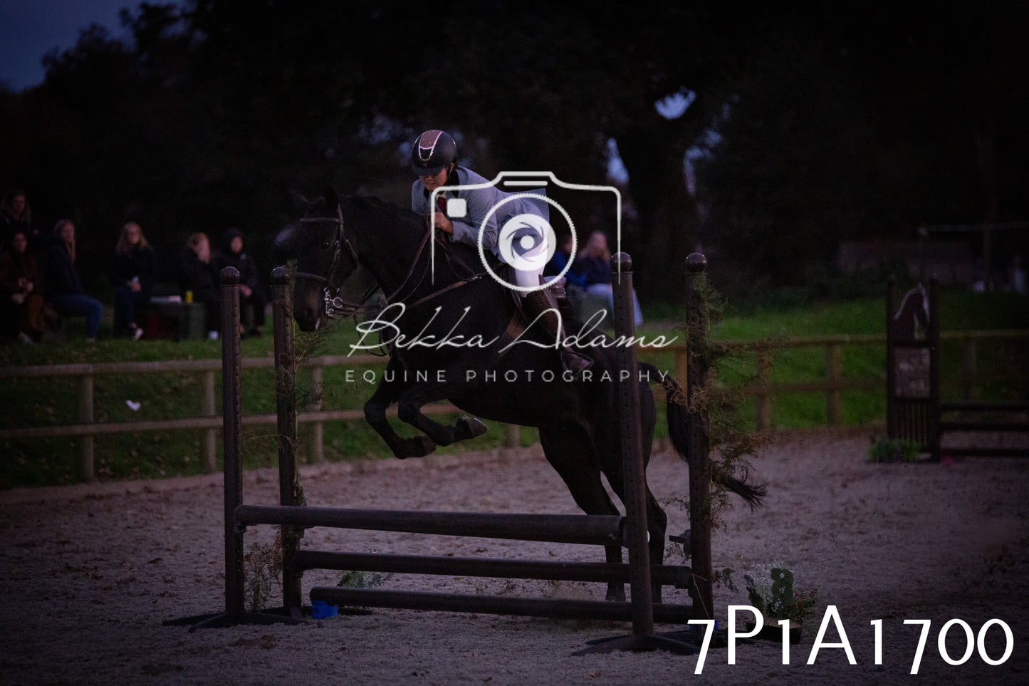JHOYS 2025 - Showing - 27th September - Working Hunter