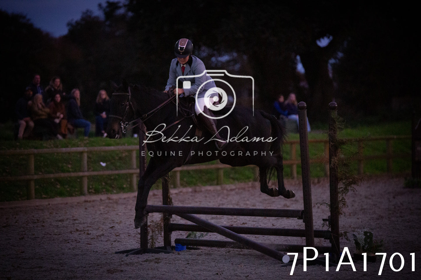 JHOYS 2025 - Showing - 27th September - Working Hunter