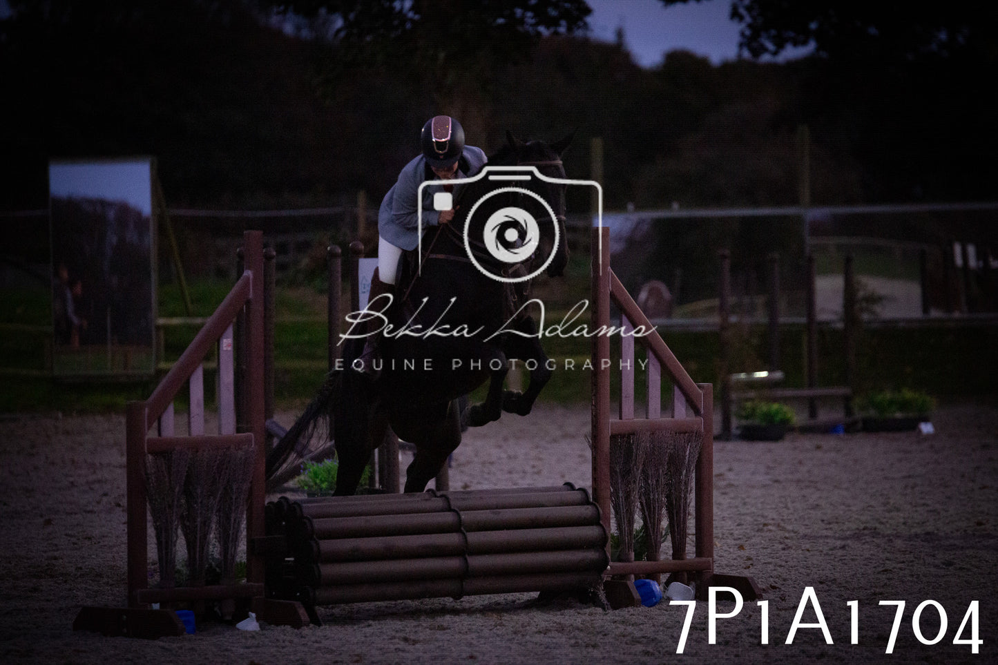 JHOYS 2025 - Showing - 27th September - Working Hunter