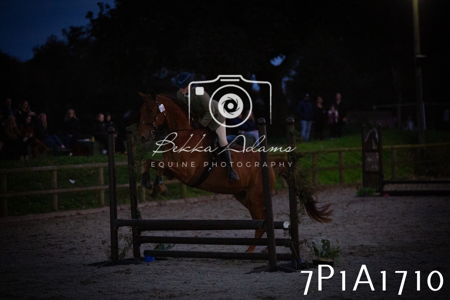 JHOYS 2025 - Showing - 27th September - Working Hunter