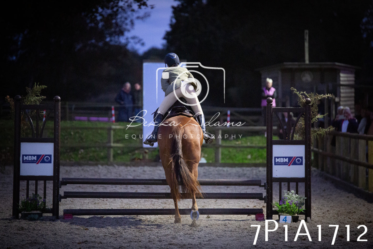 JHOYS 2025 - Showing - 27th September - Working Hunter