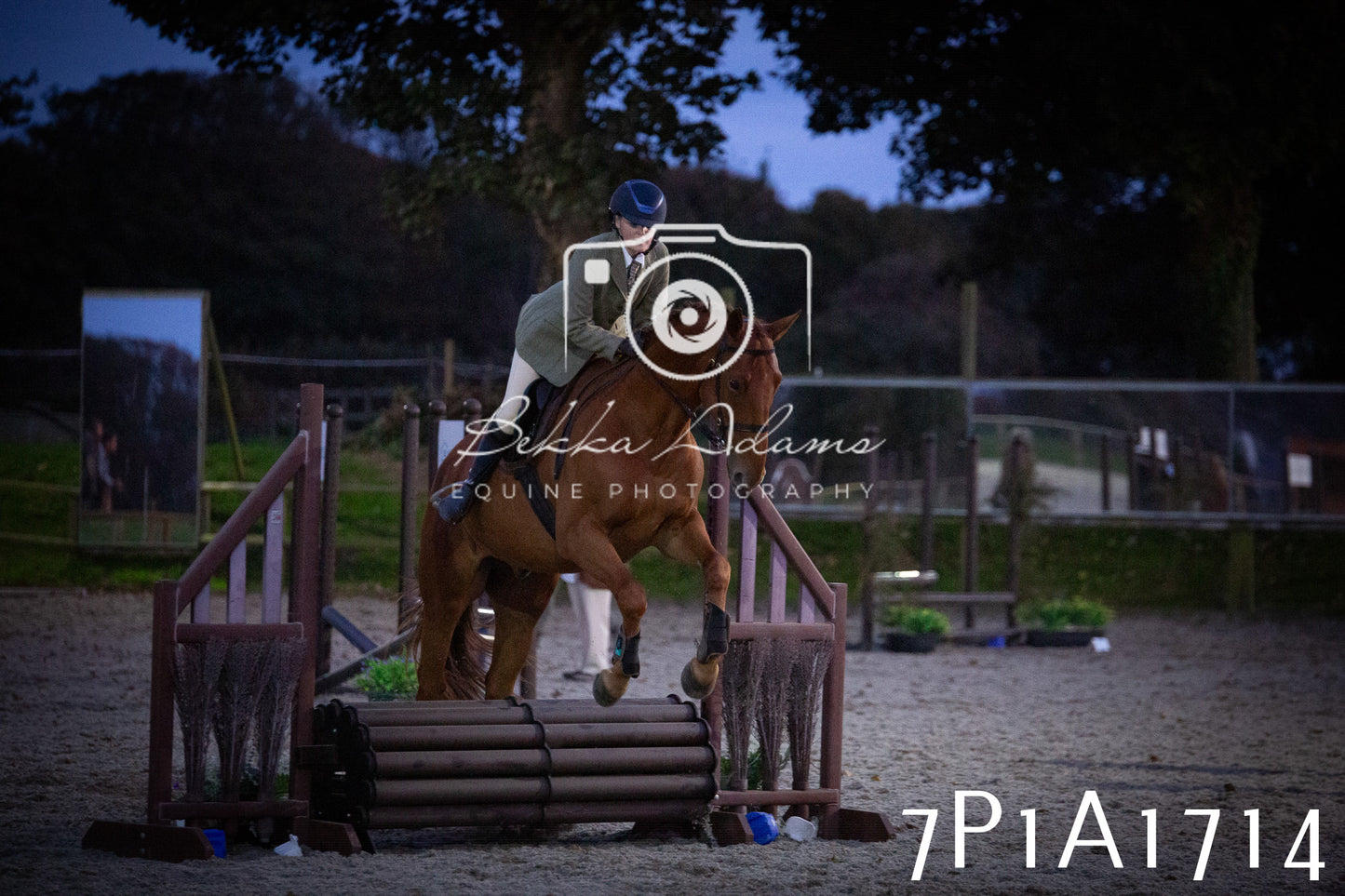 JHOYS 2025 - Showing - 27th September - Working Hunter