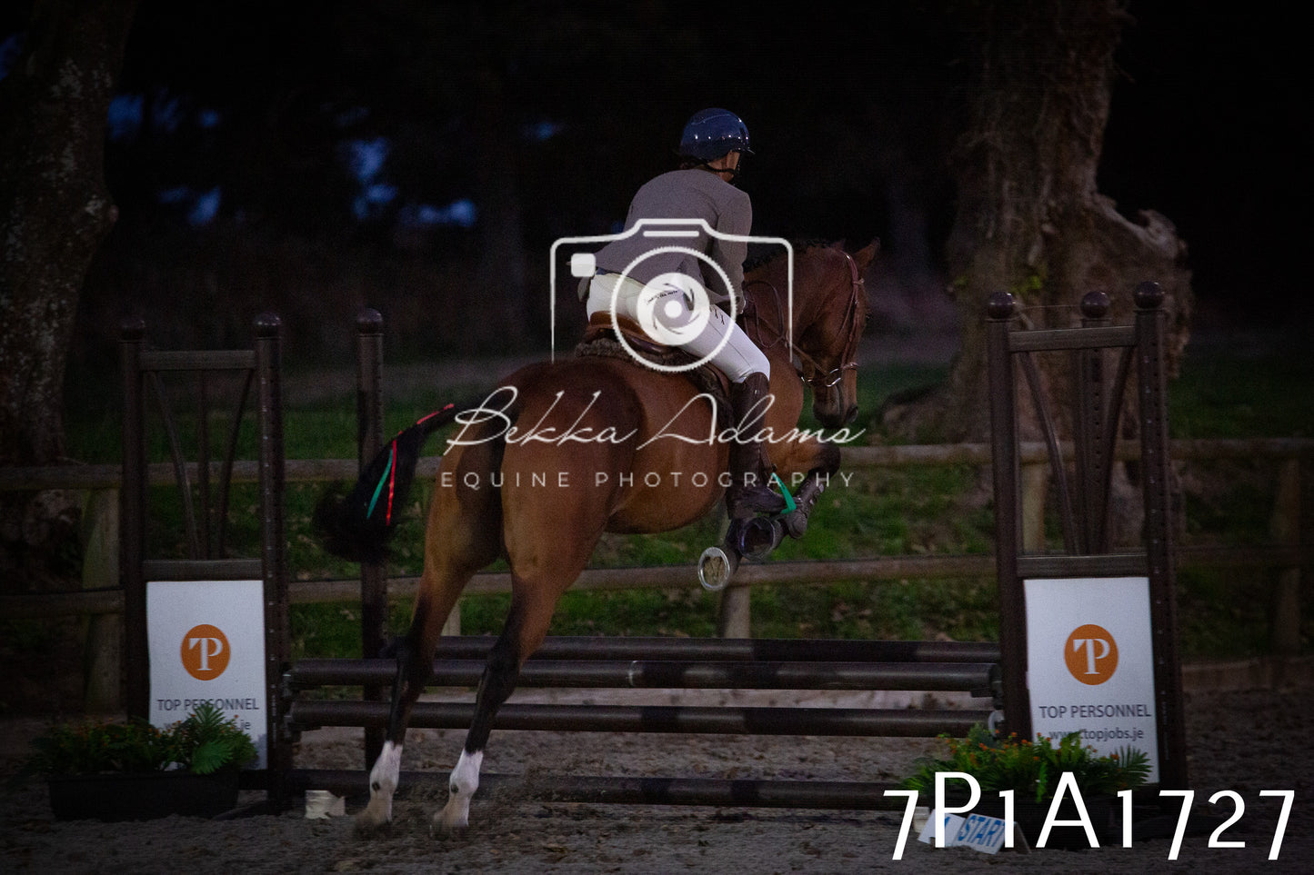 JHOYS 2025 - Showing - 27th September - Working Hunter