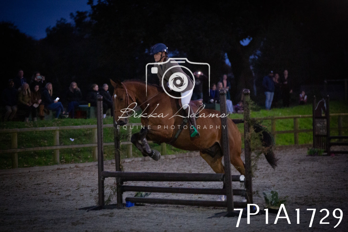 JHOYS 2025 - Showing - 27th September - Working Hunter