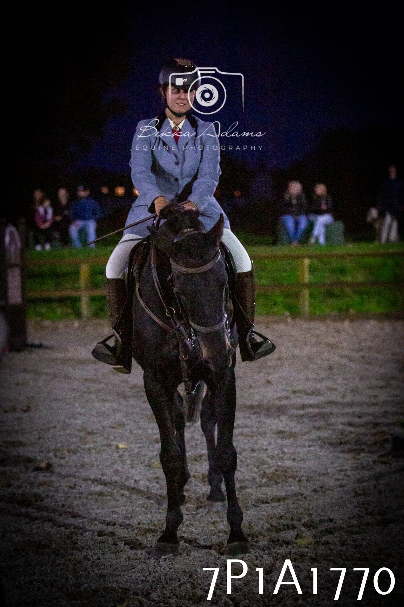 JHOYS 2025 - Showing - 27th September - Working Hunter