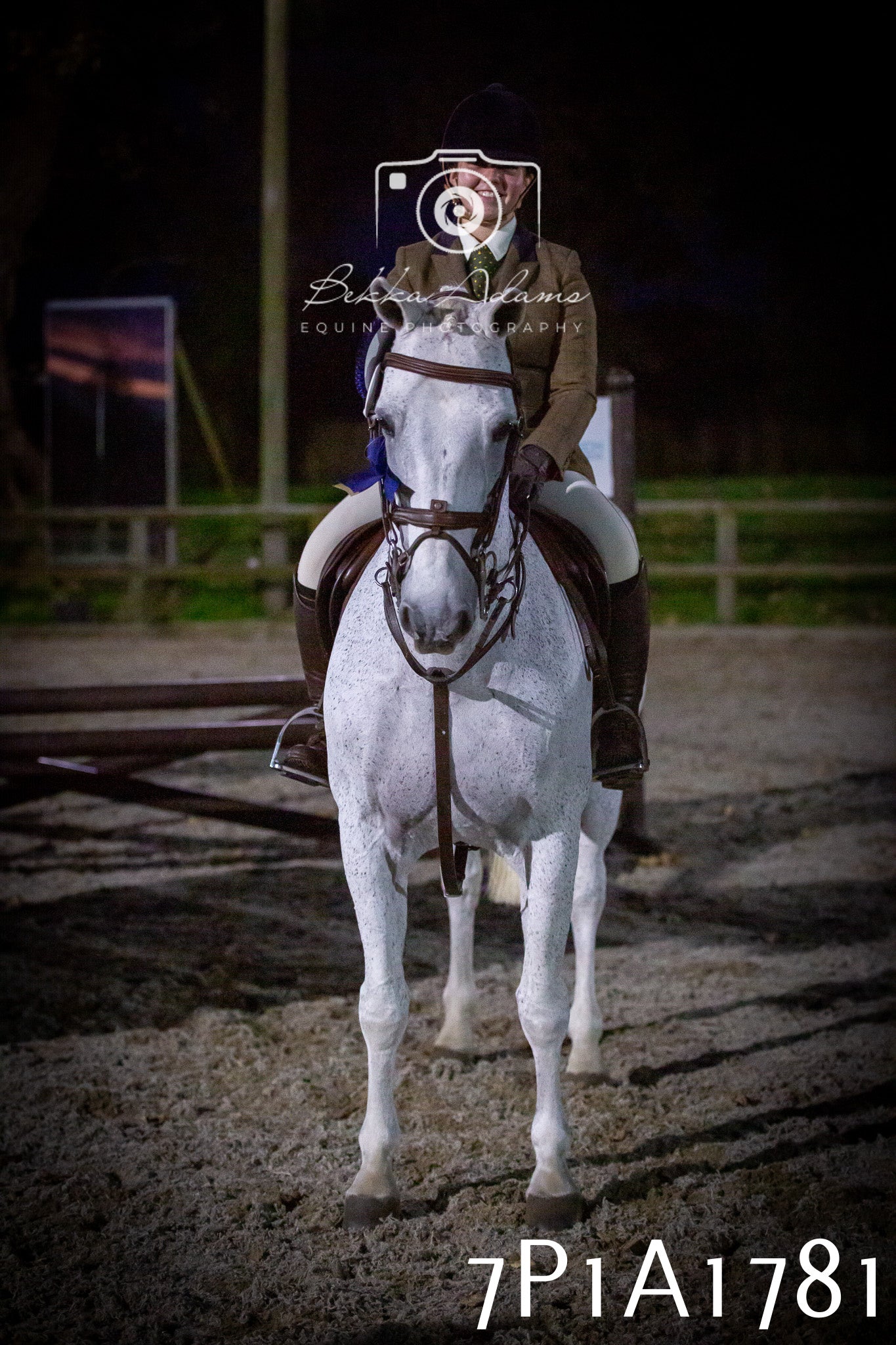 JHOYS 2025 - Showing - 27th September - Working Hunter