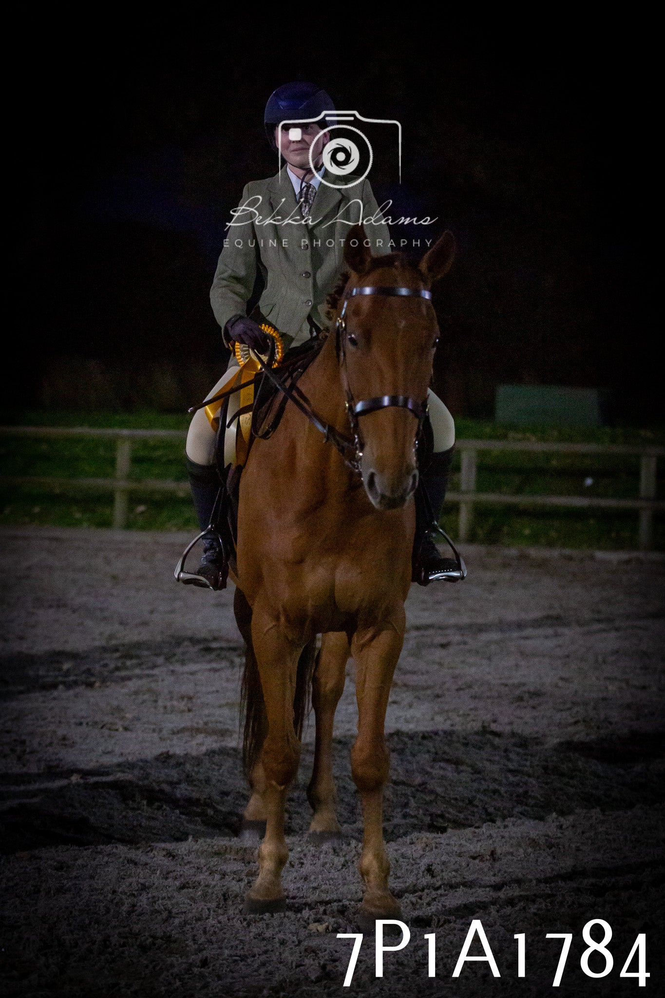 JHOYS 2025 - Showing - 27th September - Working Hunter