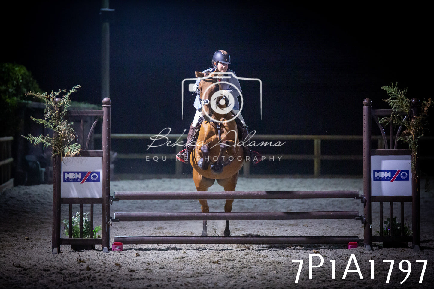 JHOYS 2025 - Showing - 27th September - Working Hunter