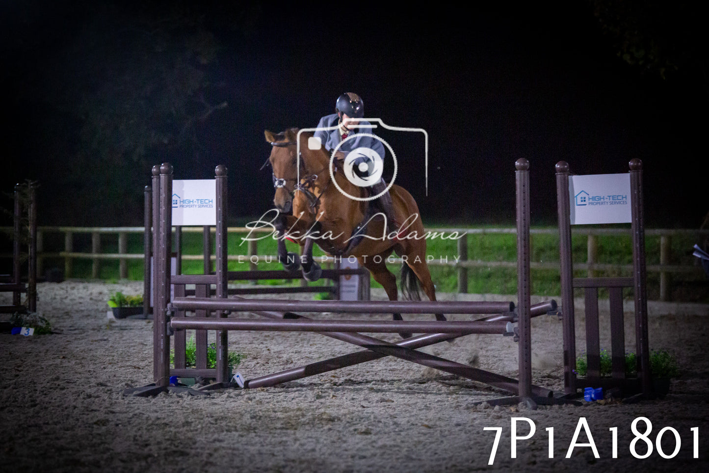 JHOYS 2025 - Showing - 27th September - Working Hunter