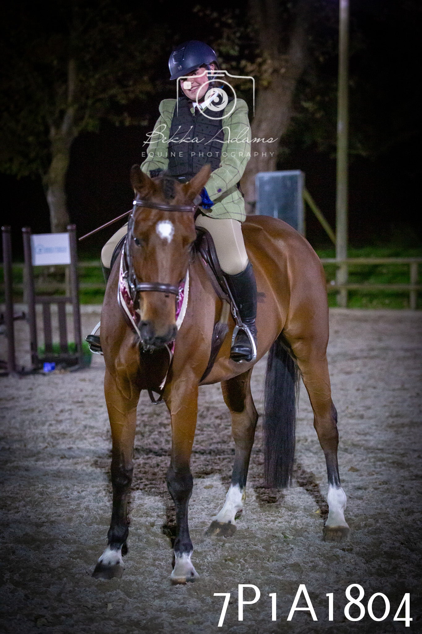 JHOYS 2025 - Showing - 27th September - Working Hunter