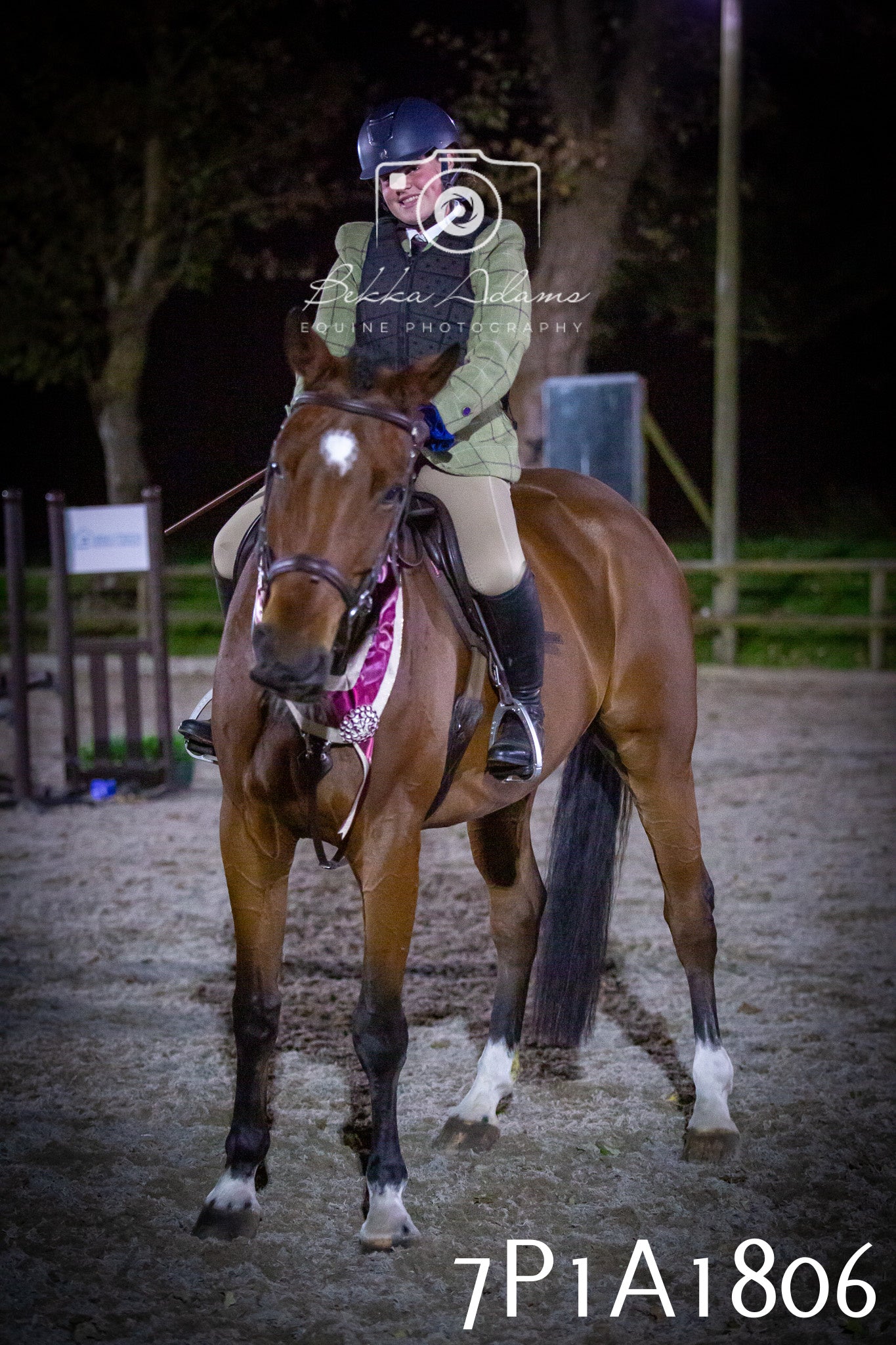 JHOYS 2025 - Showing - 27th September - Working Hunter