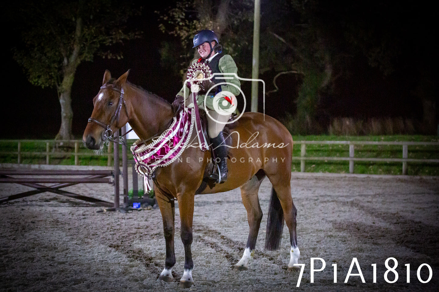 JHOYS 2025 - Showing - 27th September - Working Hunter