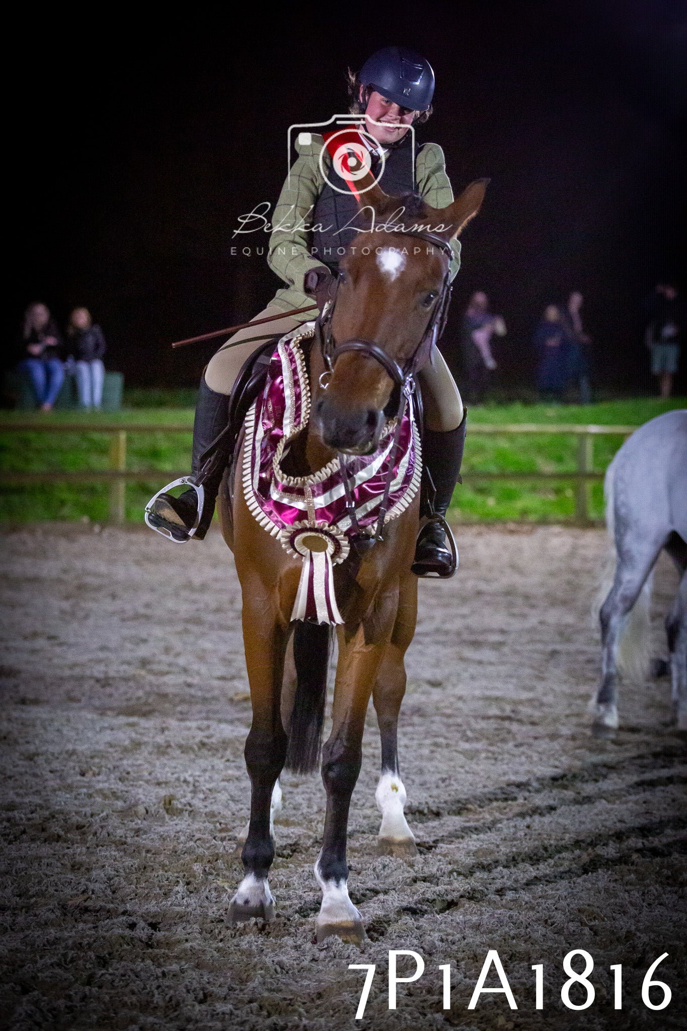 JHOYS 2025 - Showing - 27th September - Working Hunter