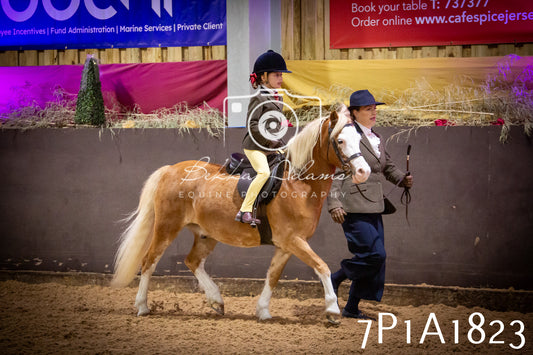 JHOYS 2025 - Ridden Showing - 28th September - pt1