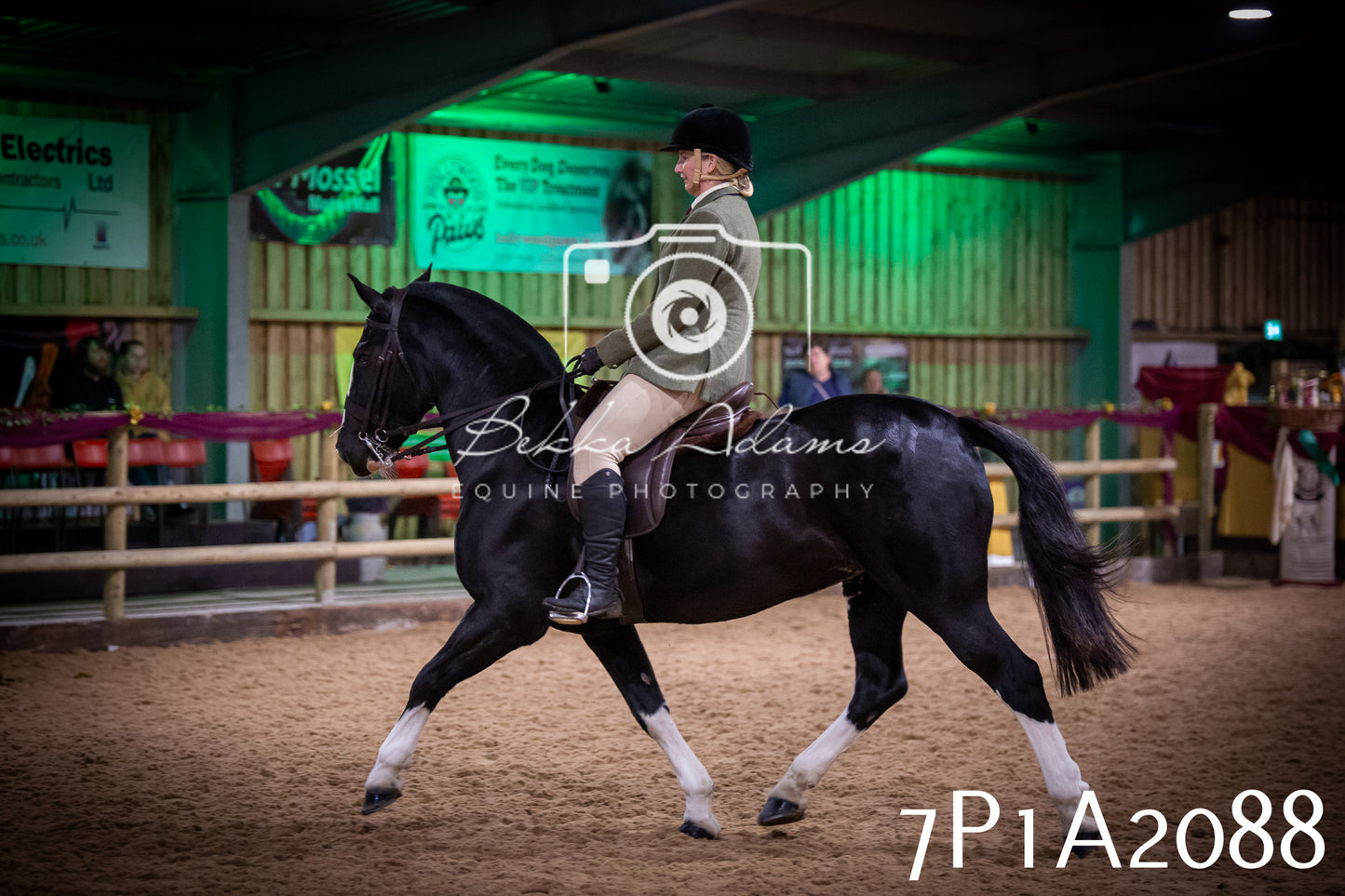 JHOYS 2025 - Ridden Showing - 28th September - pt1