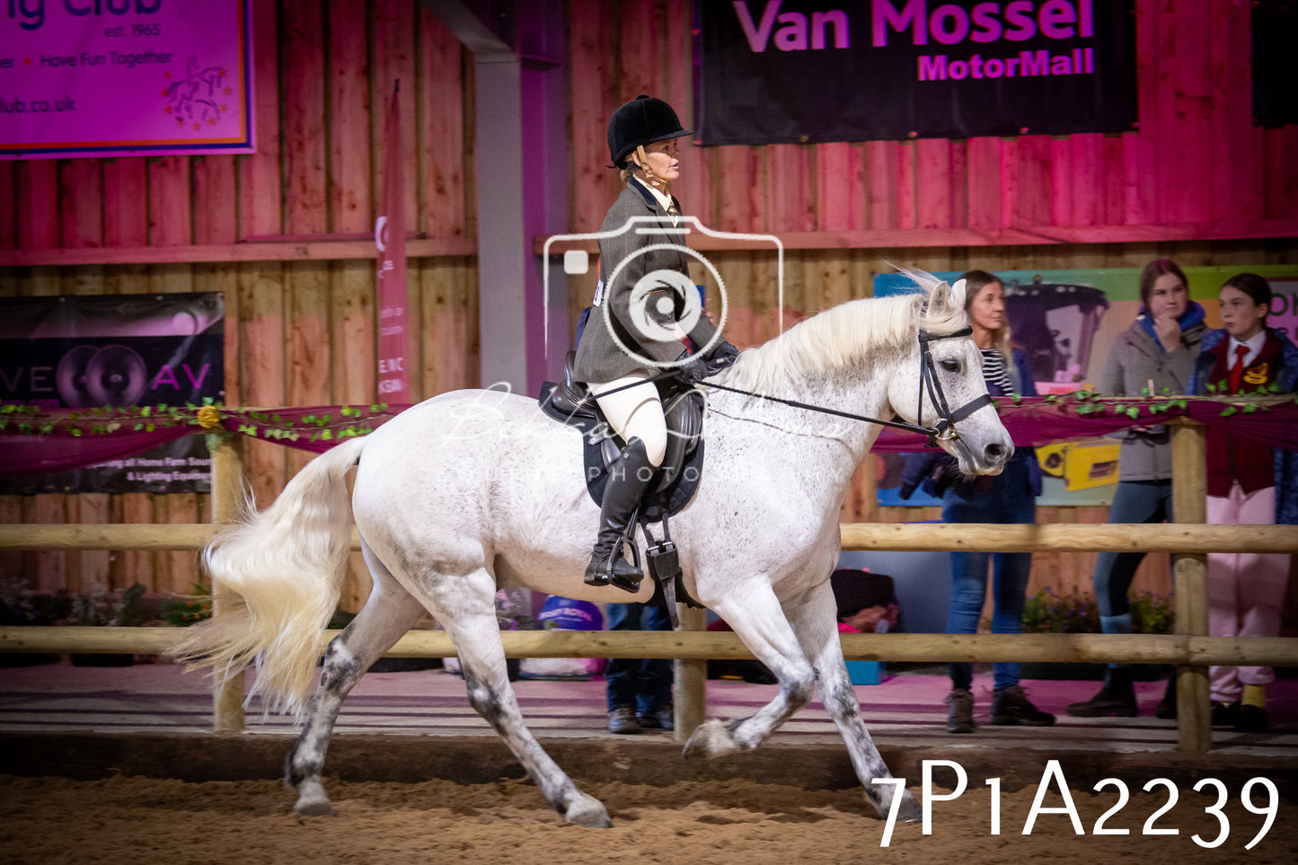 JHOYS 2025 - Ridden Showing - 28th September - pt1