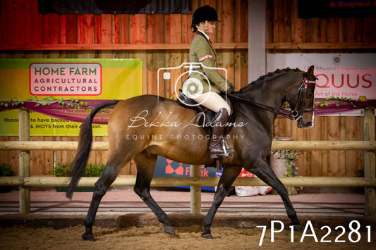 JHOYS 2025 - Ridden Showing - 28th September - pt2