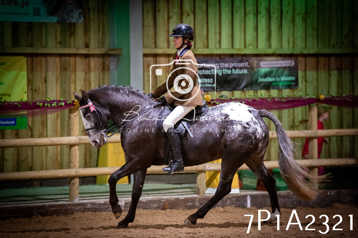 JHOYS 2025 - Ridden Showing - 28th September - pt2