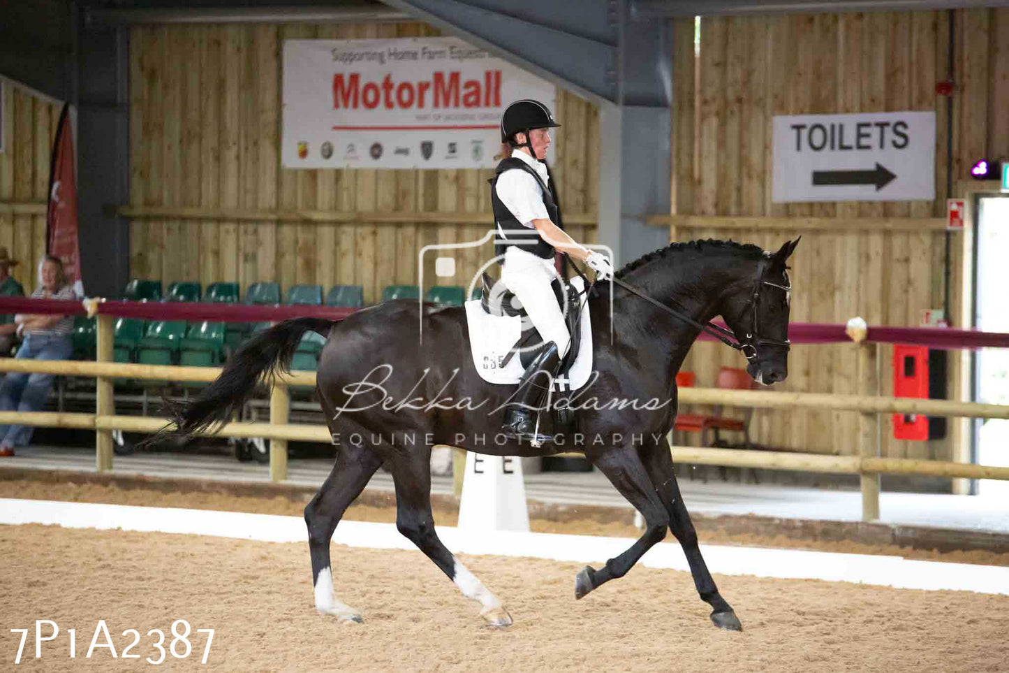 JHOYS 2023 - 6th September - Dressage