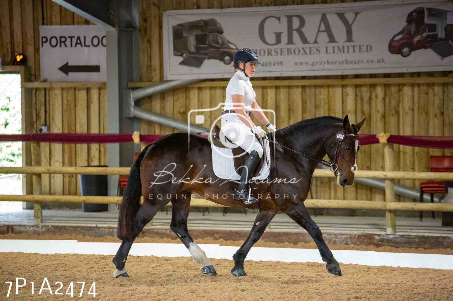 JHOYS 2023 - 6th September - Dressage