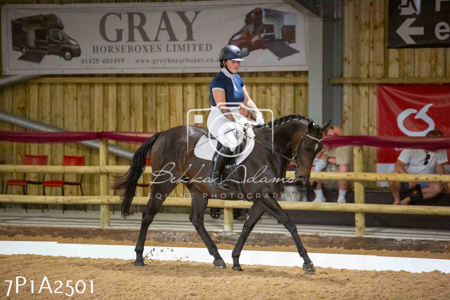 JHOYS 2023 - 6th September - Dressage