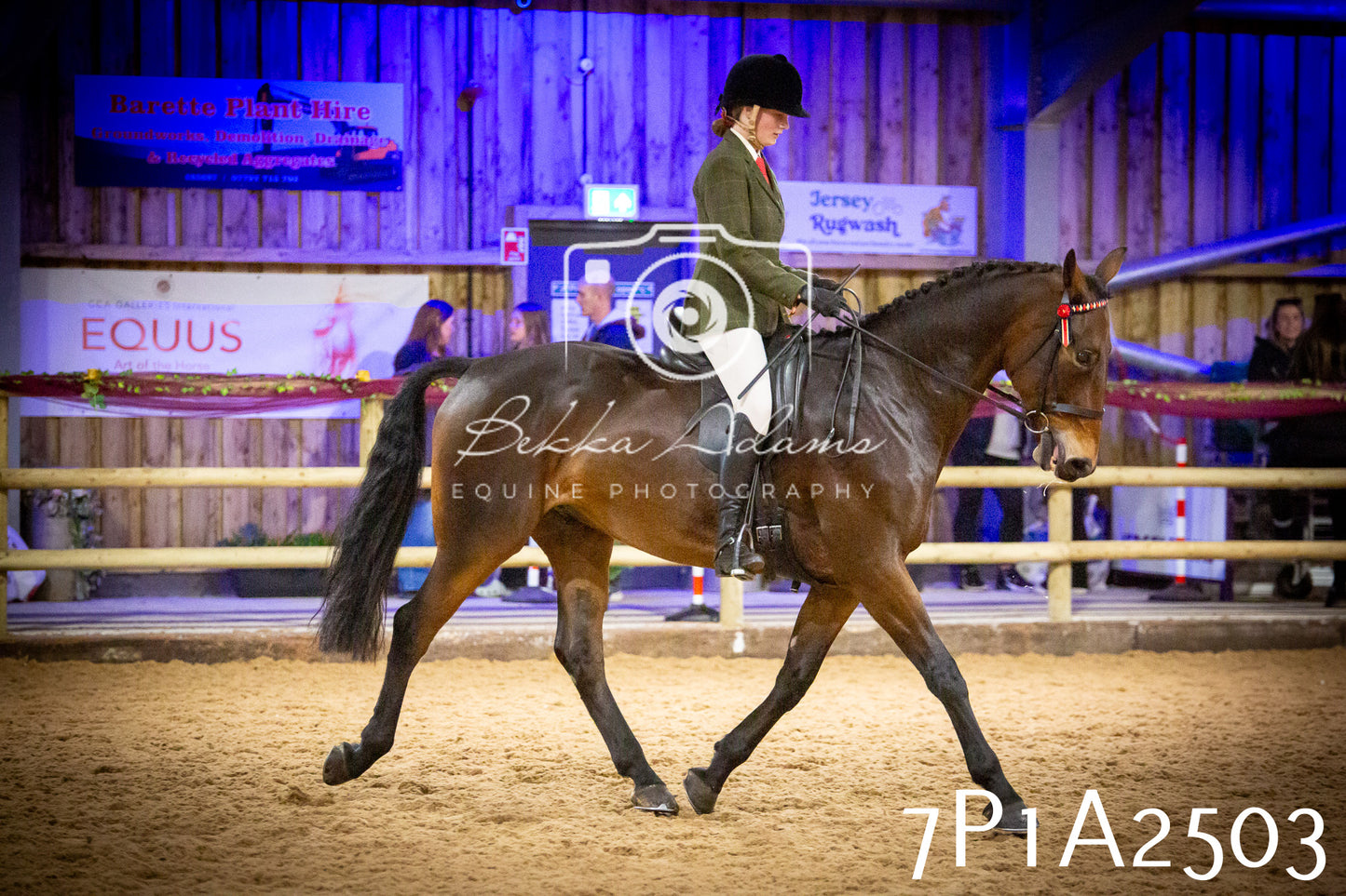 JHOYS 2025 - Ridden Showing - 28th September - pt2