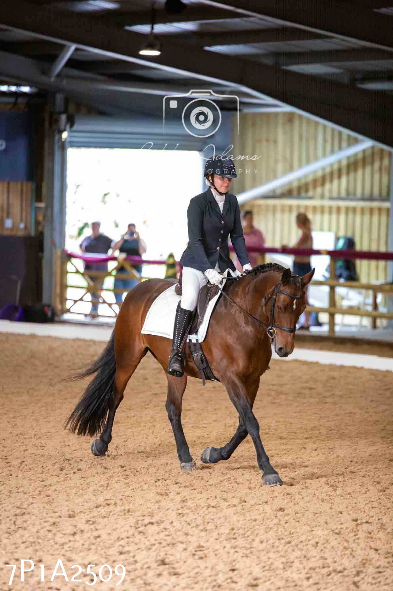 JHOYS 2023 - 6th September - Dressage