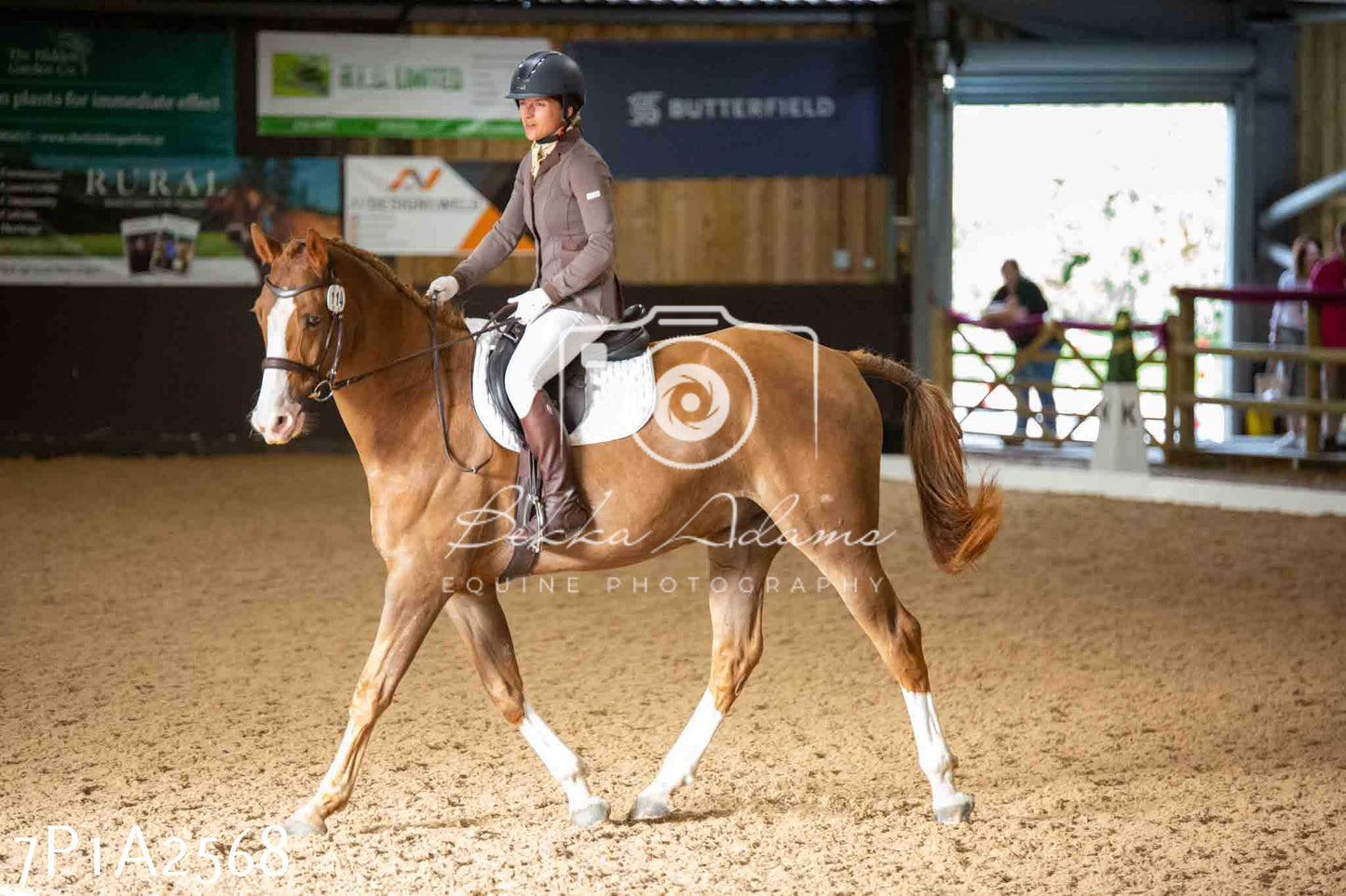 JHOYS 2023 - 6th September - Dressage