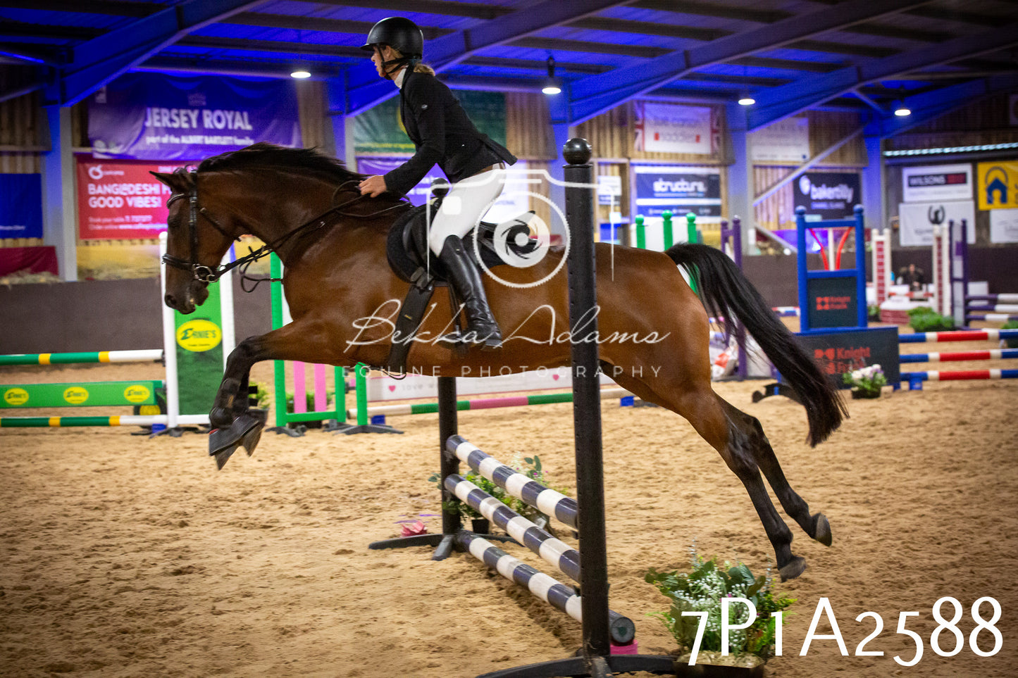 JHOYS 2025 - Show Jumping - 20th September pt2