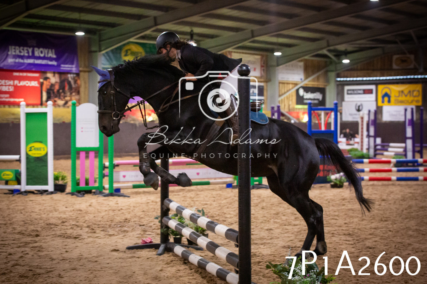 JHOYS 2025 - Show Jumping - 20th September pt2