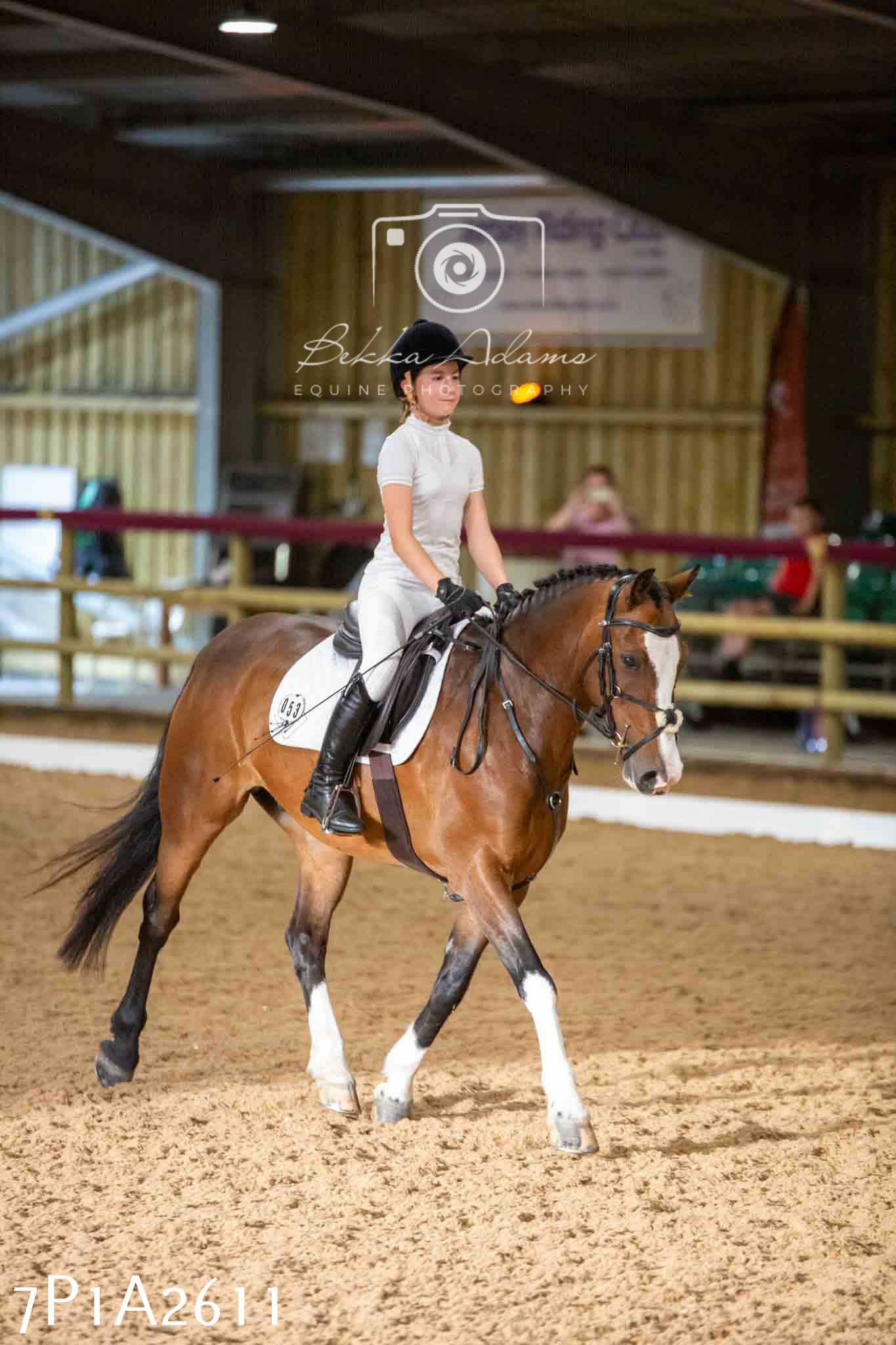 JHOYS 2023 - 6th September - Dressage