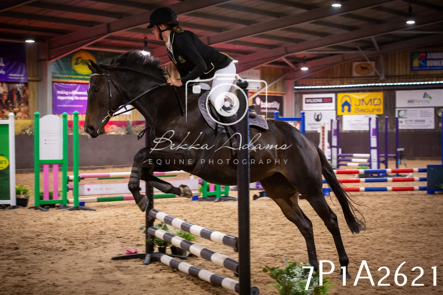 JHOYS 2025 - Show Jumping - 20th September pt2