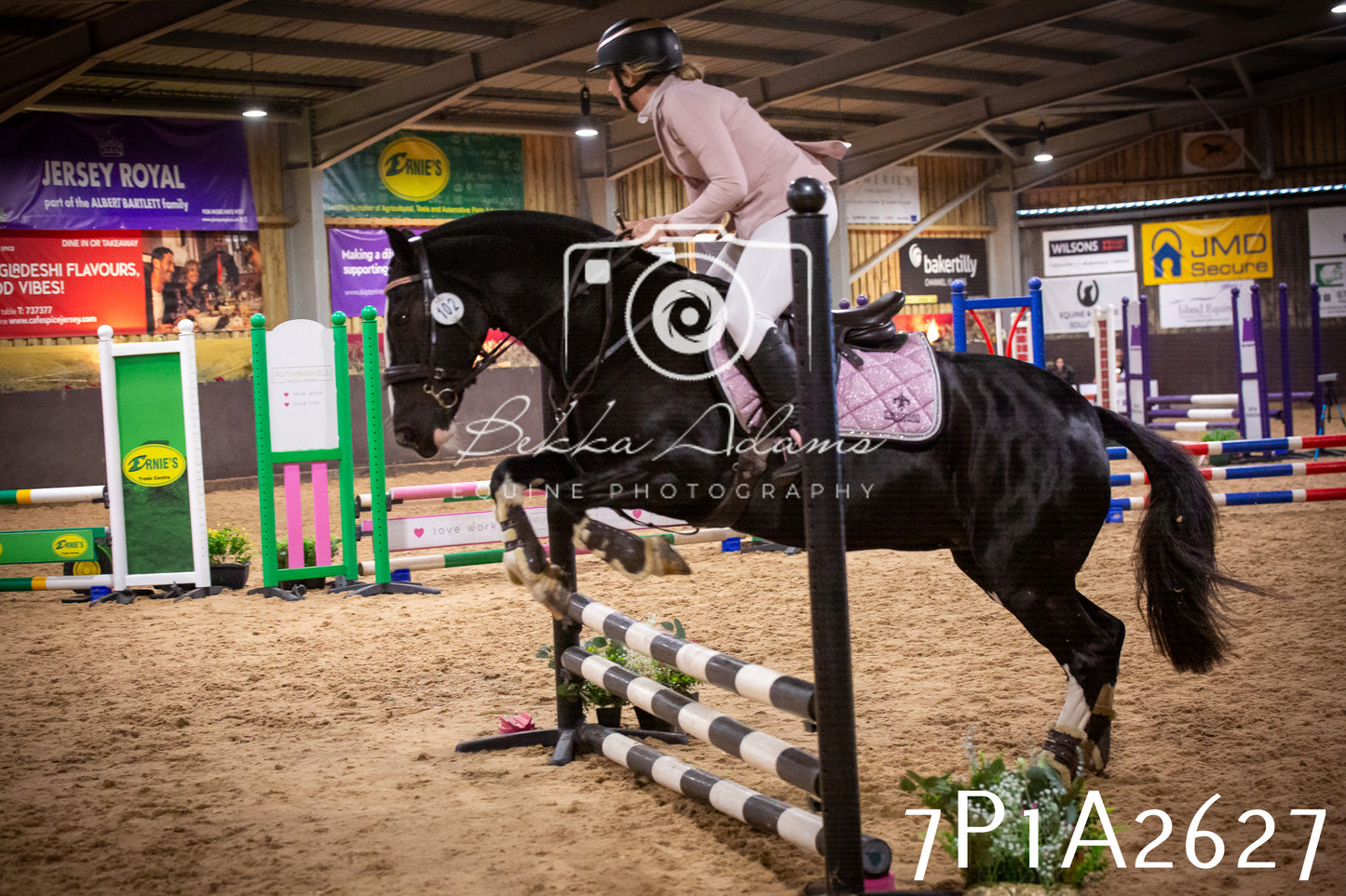 JHOYS 2025 - Show Jumping - 20th September pt2