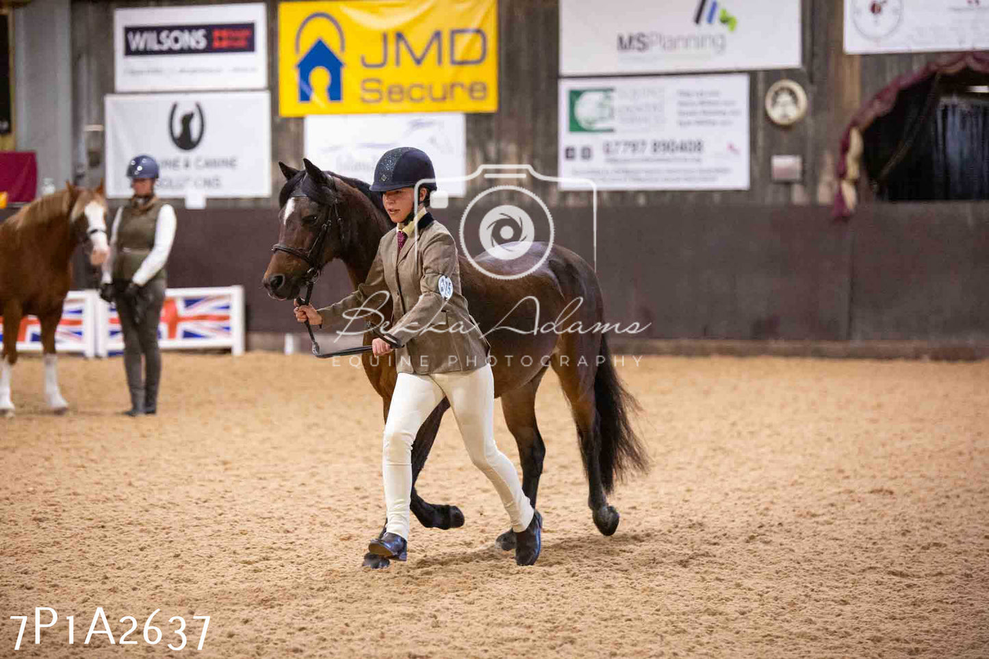 Home Farm Funshine Show 2024 - Inhand Showing 14th September