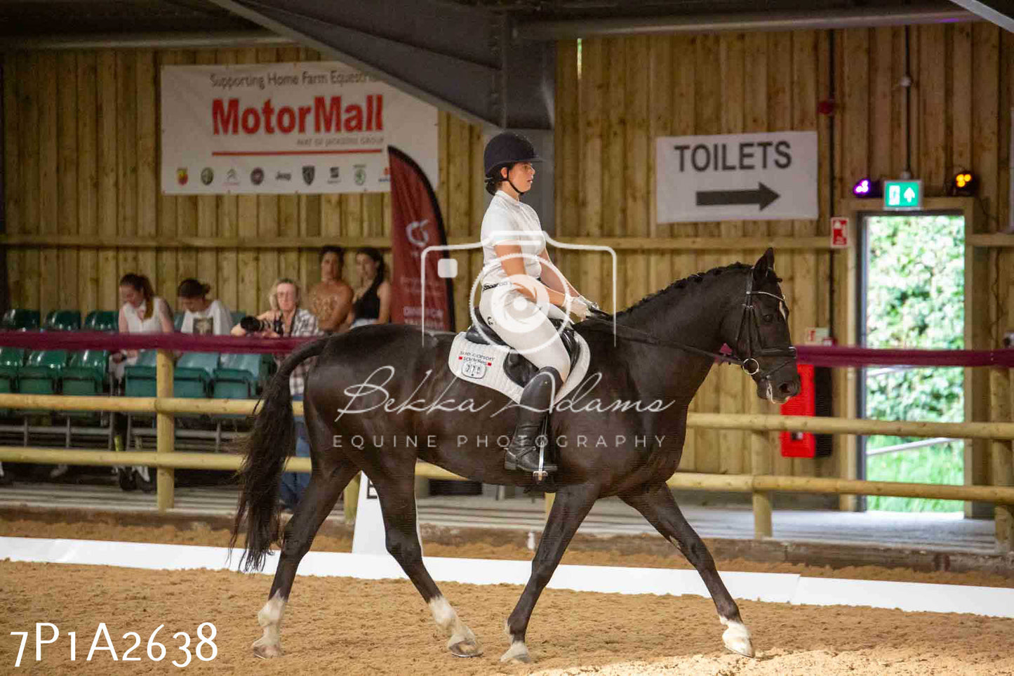 JHOYS 2023 - 6th September - Dressage