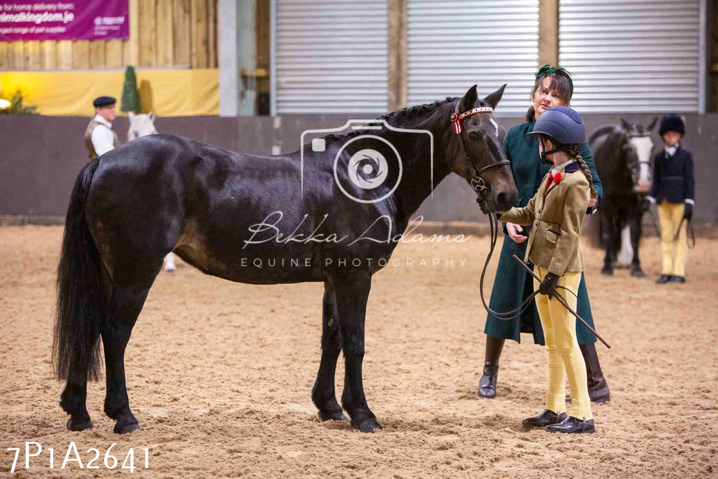 Home Farm Funshine Show 2024 - Inhand Showing 14th September