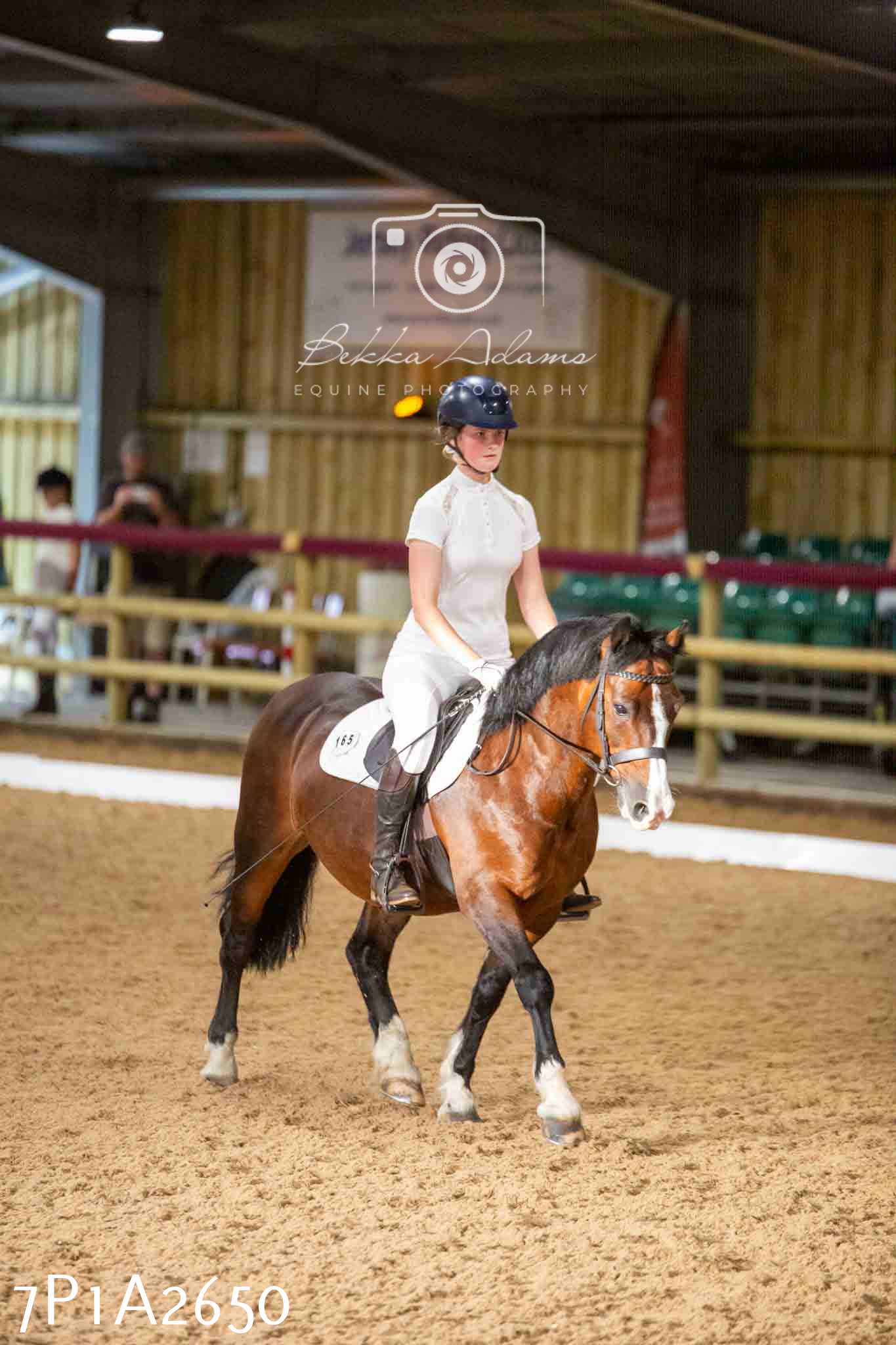 JHOYS 2023 - 6th September - Dressage