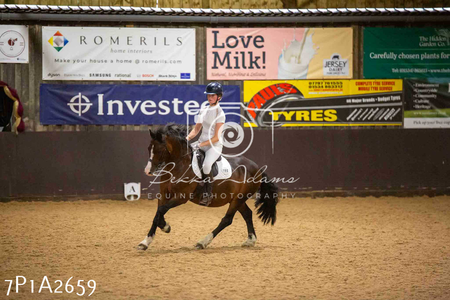 JHOYS 2023 - 6th September - Dressage